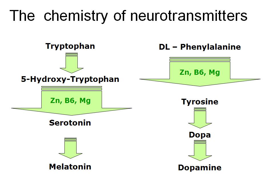 True Medicine neurotransmitter production